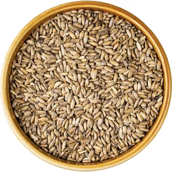 Ostropestřec mariánský BIO semínko - MámeChuť 500 g