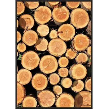 Obraz OBRAZ PLAKÁT V RÁMU 33x43 cm Dřevo P776