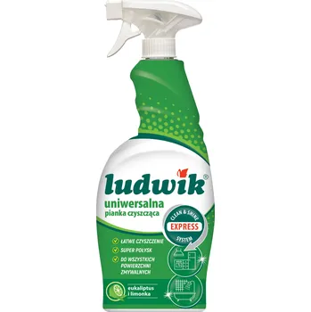 Ludwik Univerzální čisticí pěna 750 ml