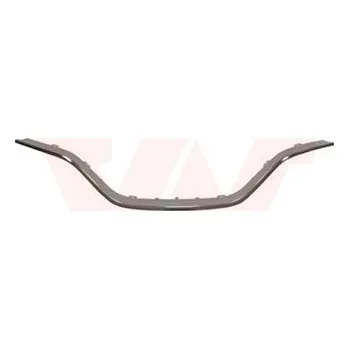 Lišta karosérie Ozdobná / ochranná lišta, mřížka chladiče VAN WEZEL 4384516