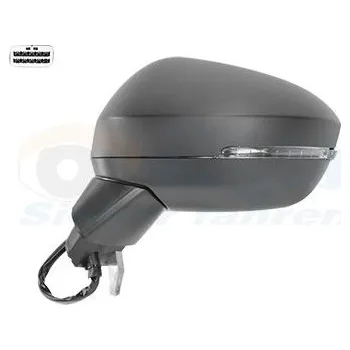 Auto zrcátko Vnější zpětné zrcátko VAN WEZEL 3376807