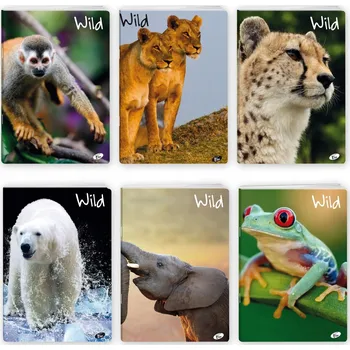 Sešit Sešit A5 s linkami Elisa, 32 listů