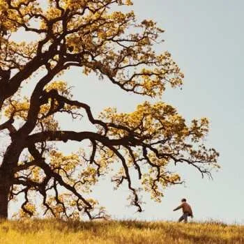 Zahraniční hudba CD Joshua Bassett: The Golden Years 2024