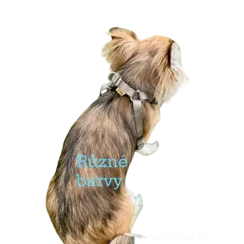 Postroj pro psa Postroj pro psa 15mm (Nylonový postroj pro psy)