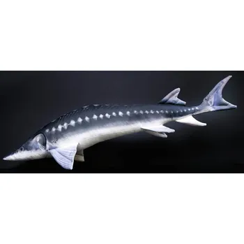 Polštář Dekorační polštář - Jeseter