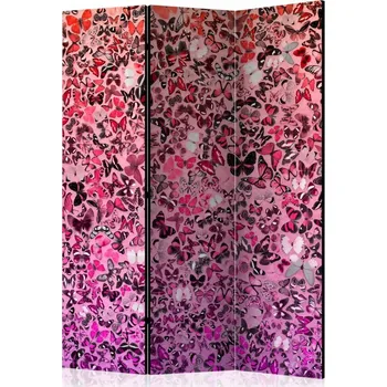 Paraván Paraván 3dílný - Jazyk motýlů