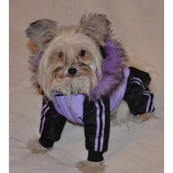 Obleček pro psa Zimní kombineza pro psa, oblečky pro psy 2. jakost (Oblečky pro psa )