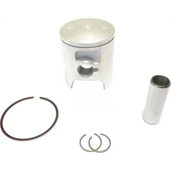 Píst motoru Pístní sada ATHENA S4C04600001B d 45,95mm S4C04600001B
