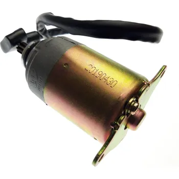 MOTOR ASSY STARTER 2531507