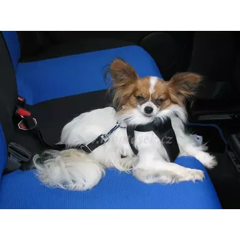 Postroj pro psa Bezpečnostní pás pro psa + postroj do auta (pás do auta pro psa)