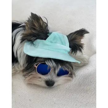 Obleček pro psa Zelený klobouk pro psa, kočku (Letní doplňky pro psy)