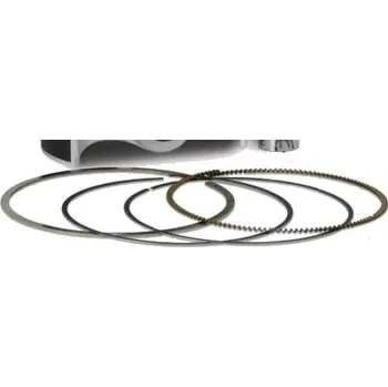 Píst motoru Rings VERTEX 590395000001 5,90395E+11