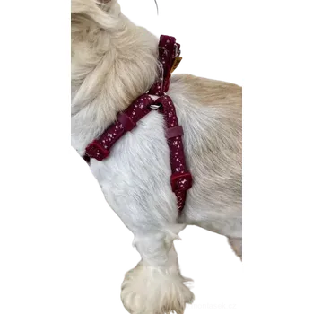 Postroj pro psa Postroj pro psa Hvězdičky bordo 10mm (Potřeby pro malé pejsky, kočky)