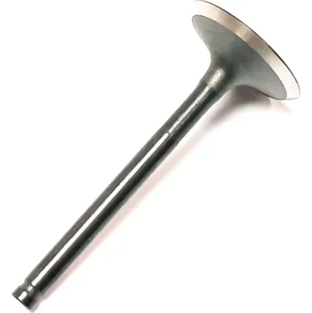 Inlet Valve 2531577B