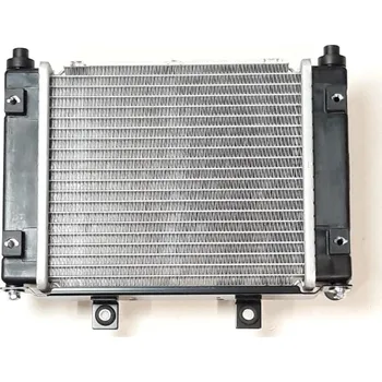 Radiator Assembly 15230-A03-000
