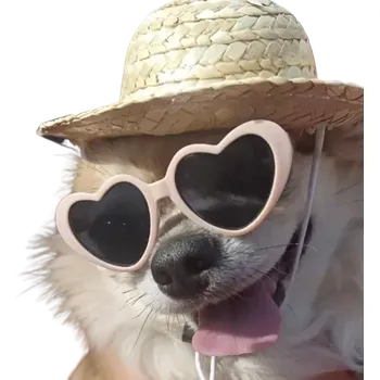 Obleček pro psa Srdíčkové brýle pro psa, kočku (Letní potřeby pro psy a kočky)