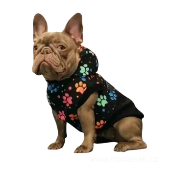 Obleček pro psa Zateplená softshellová bunda pro psa tlapky (Oblečky pro psy)