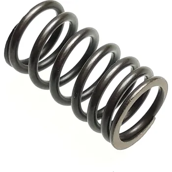 Spring ,Valve Outer 14735-E17-100