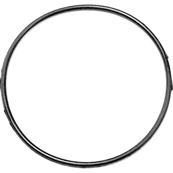 O-Ring 79X2.65 20901A