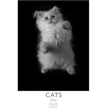 Cestování Cats 2026 S 29x21cm