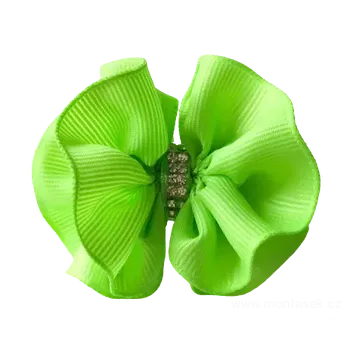 Kosmetika pro psa Zelená mašle pro psa 2 (Premiové sponky pro psy)