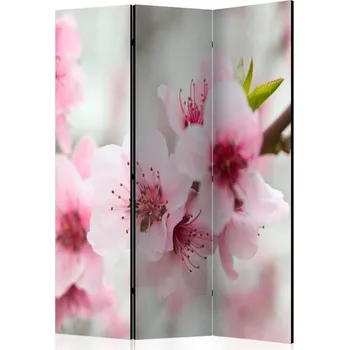 Paraván 3dílná Paraván - Kvetoucí višeň a růžové květy