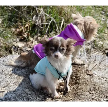 Obleček pro psa Jarní - podzimní vesta pro psa (Oblečky pro psy)