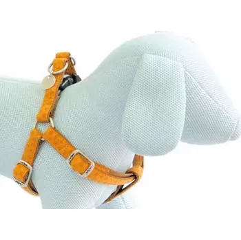 Postroj pro psa Béžový postroj pro psa Vanity 10-15mm (Potřeby pro menší a středně velké psy)