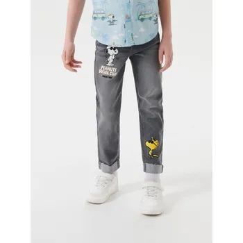 Pánské džíny Sinsay - Džíny Peanuts - šedá - 970DG-09J - 970DG-09J-140