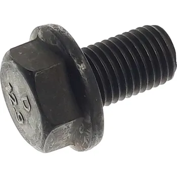 Drain Bolt 10953