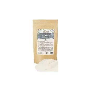 NATURECA Kolagen 3, sušený hydrolizovaný 1 kg