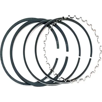 PISTON RING SETS(200cc) 29564