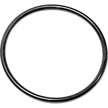 O-RING 10039