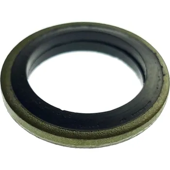 Sealing gasket 35341