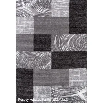 Koberec Abstraktní kusový koberec Parma 9220 black: 80 x 150 cm