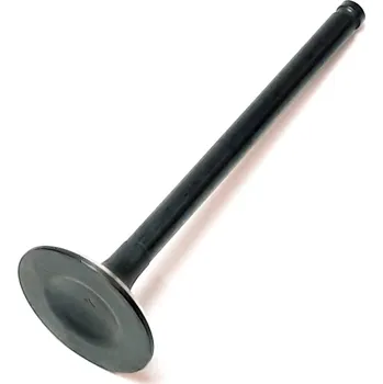 EXHAUST VALVE 71875