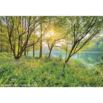 Fototapeta Fototapeta Komar - Spring Lake 8-524