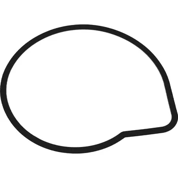 Gasket, Water Pump (unavailable) 15218-E10-000