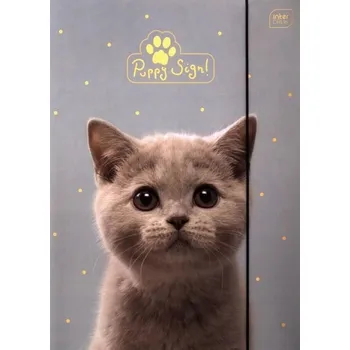 Desky s gumou A4 Interdruk