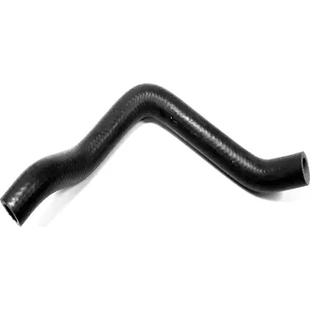 Hose, (Radiator-Pump) 15233-A03-030