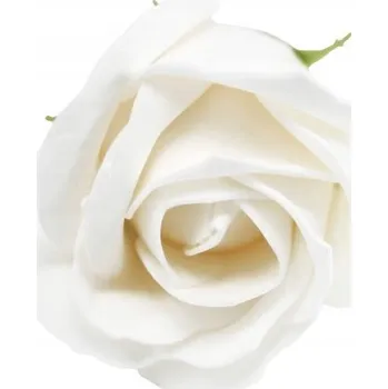 umělá květina BÍLÁ MYDLENKOVÁ RŮŽE jako dárek ke na křtiny nebo prvnímu svatému přijímání