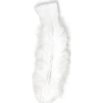Karnevalový doplněk R-Kontakt.cz Peříčka - bílá 10 cm, 50ks