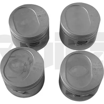 Auto-moto Píst vika (11070015401)