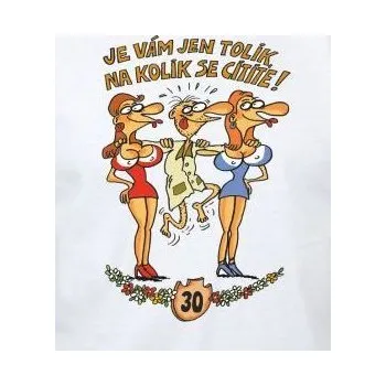 Žertovný předmět Divja.cz Tričko - 30 Je vám jen tolik, na kolik se cítíte - pro muže Velikost: L