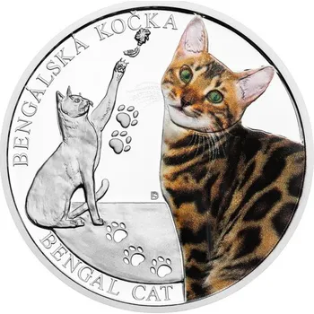 2025 - Stříbrná mince Bengálská kočka - Plemena koček