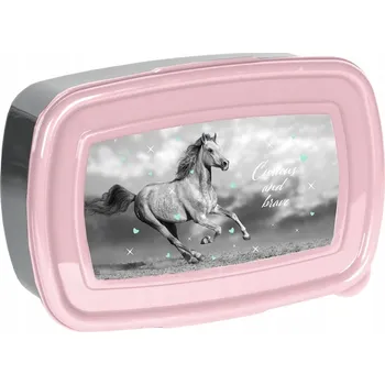 Svačinový box Svačinový Box Paso 750 ml