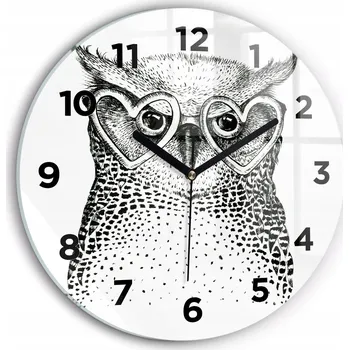 Hodiny Velké čtvercové nástěnné hodiny na zeď Kreslená sova v brýlích fi30 cm