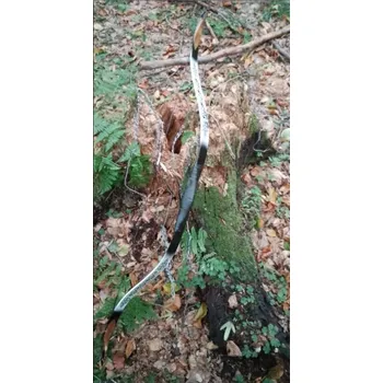 Luk Luk Malaisie Erenhill (20lb-40lb) - bílá, 30lb