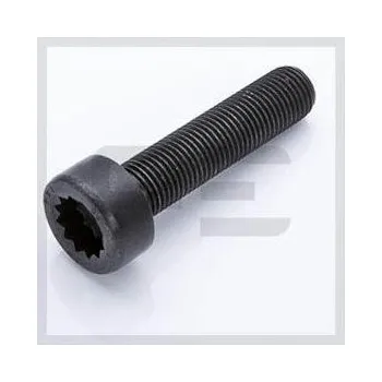 Šroub setrvačníku PE Automotive 010.162-00A