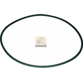Těsnění motoru Těsnění válce, o-kroužek DT Spare Parts 4.20186